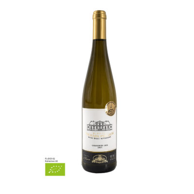 SOUVIGNIER GRIS 2021